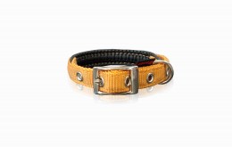 Pet Interest Neoprene Standard Κολάρο Σκύλου 2XLarge 25mm x 60cm χρυσό